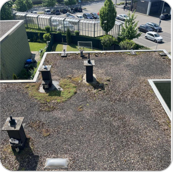 Energetische-Sanierung-eines-Wohngebäudes-in-Münster-Ein-Fahrplan-für-die-Zukunft-12