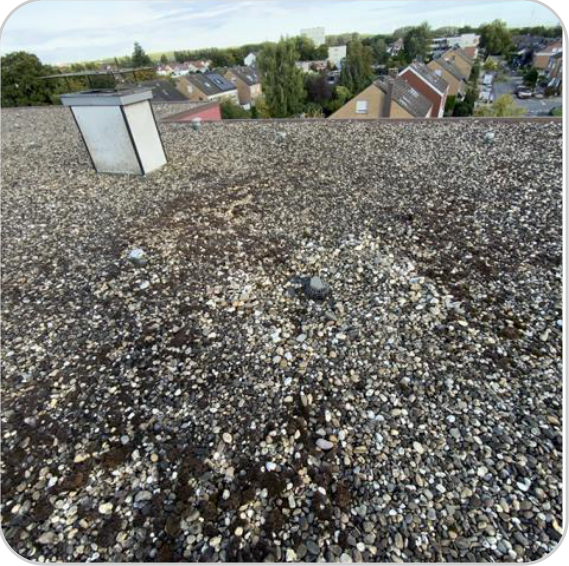 Energetische-Sanierung-eines-Wohngebäudes-in-Münster-Ein-Fahrplan-zur-Zukunftssicherung-7