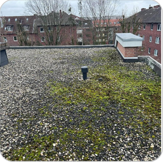 Energetische-Sanierung-eines-Wohngebäudes-in-Münster-Ein-Sanierungsfahrplan-zur-Wertsteigerung-und-Energieeffizienz-10