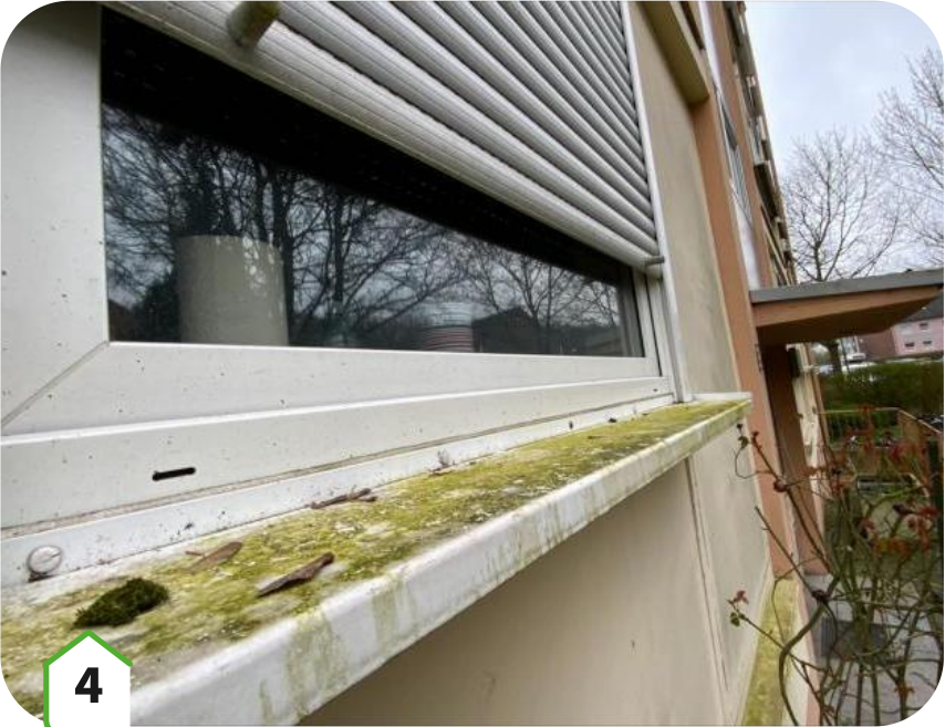 Mehrfamilienhaus-in-Münster-Ein-Fahrplan-zur-Zukunft-des-Wohngebäudes-4