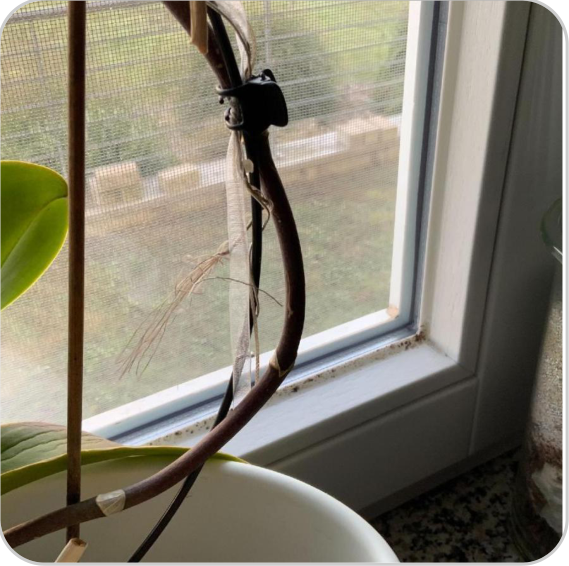 Sanierungsfahrplan-fu╠êr-ein-Wohngeba╠êude-in-Musterstadt-Ein-Weg-zu-mehr-Energieeffizienz-und-Wohnkomfort-11